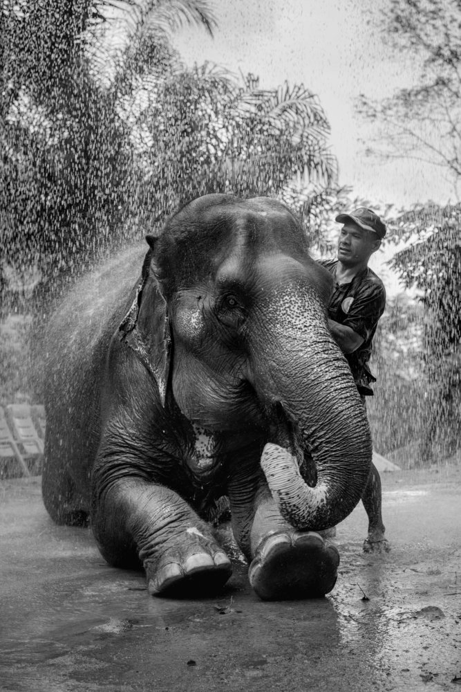 Фотография автора Сергей Миронов