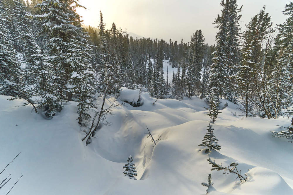 Photograph by Давыдов Павел