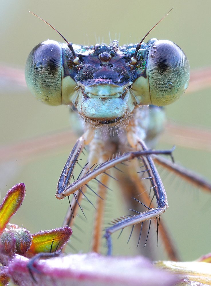 Photograph by Кузнецов Дмитрий