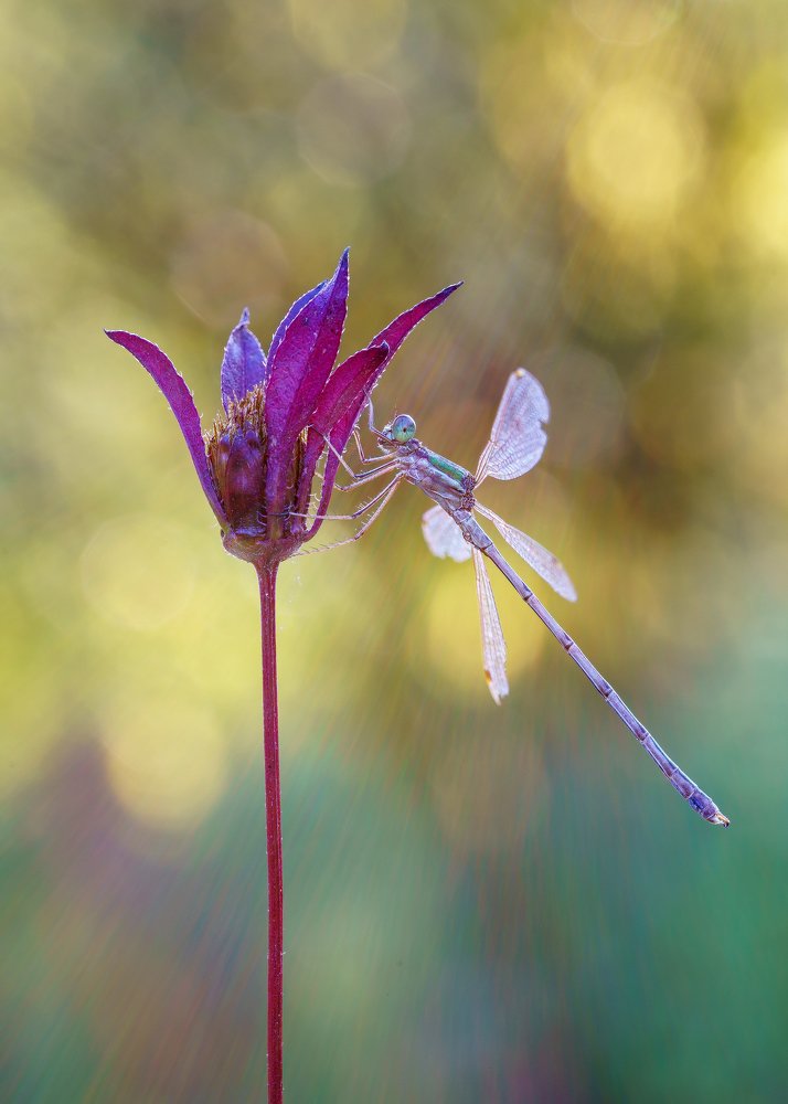 Photograph by Кузнецов Дмитрий