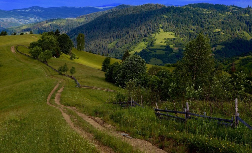 Photograph by Nataliya Mochernyuk