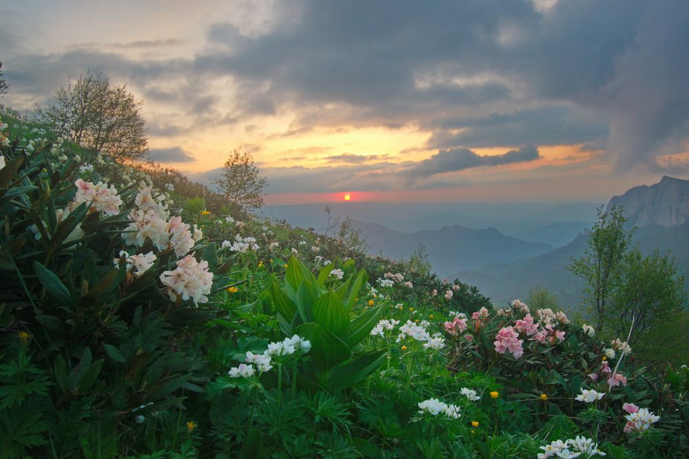 Photograph by Михаил Мюлинг