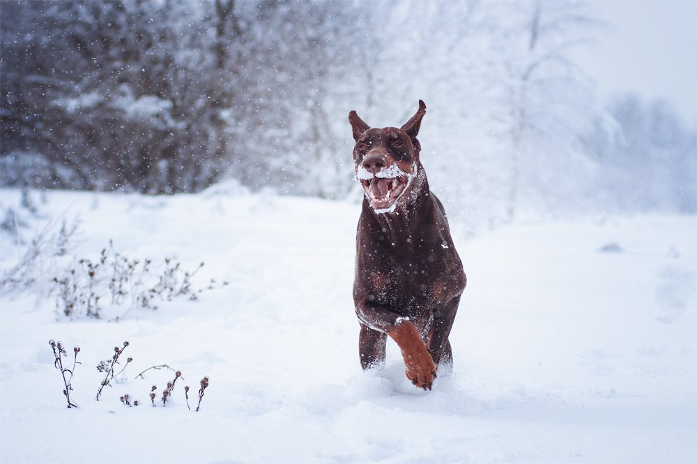 Photograph by Евгения Соколова