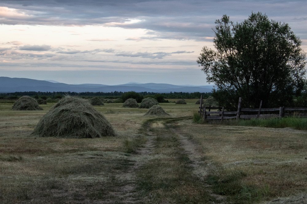 Photograph by Николай Дорофеев
