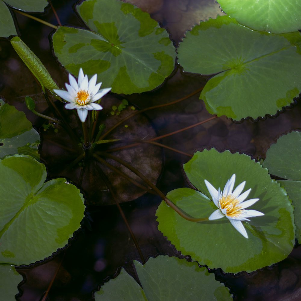 Photograph by Айман Дайрабаева