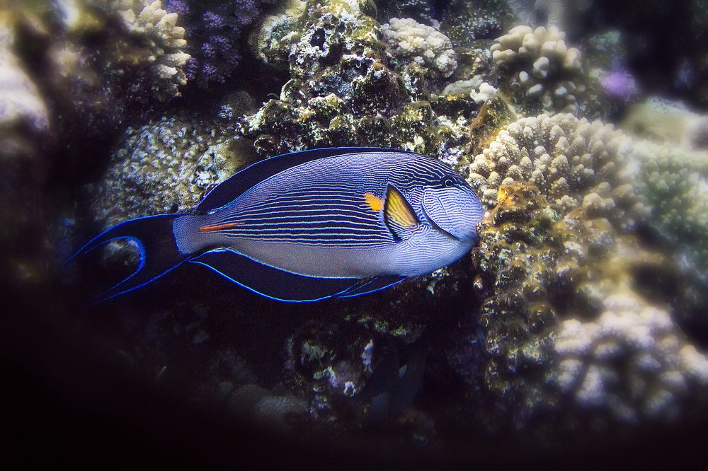 Photograph by Сергей Мордань