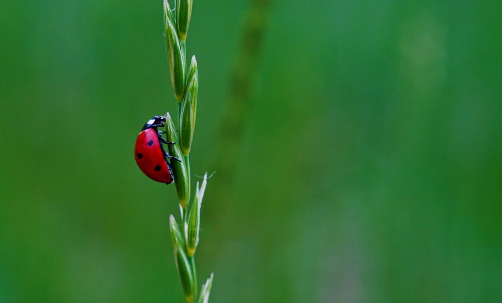 Photograph by Александр Варакин