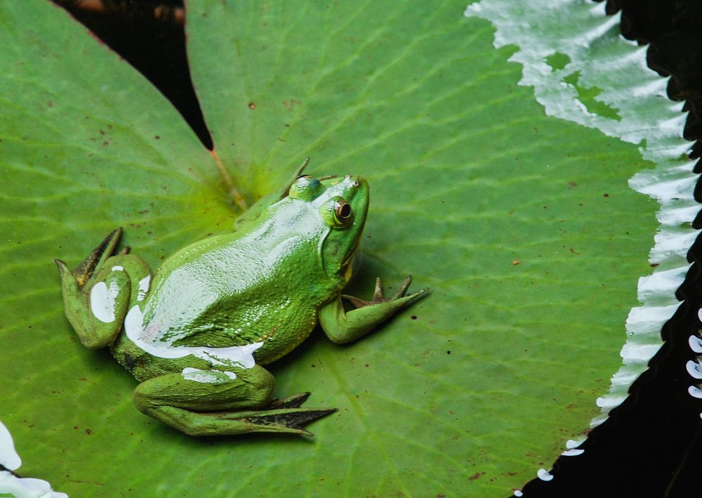 Photograph by Сергей Шварцман