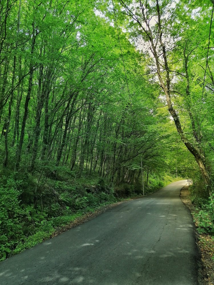 Photograph by Марина Згоник