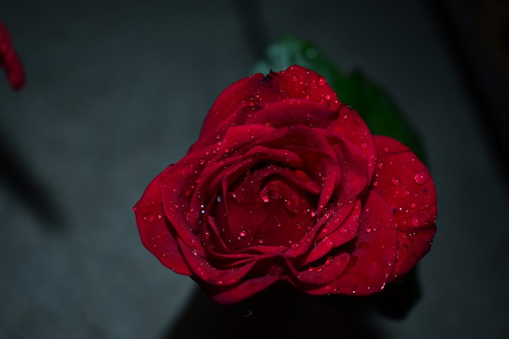 Photograph by AJAY KUMAR