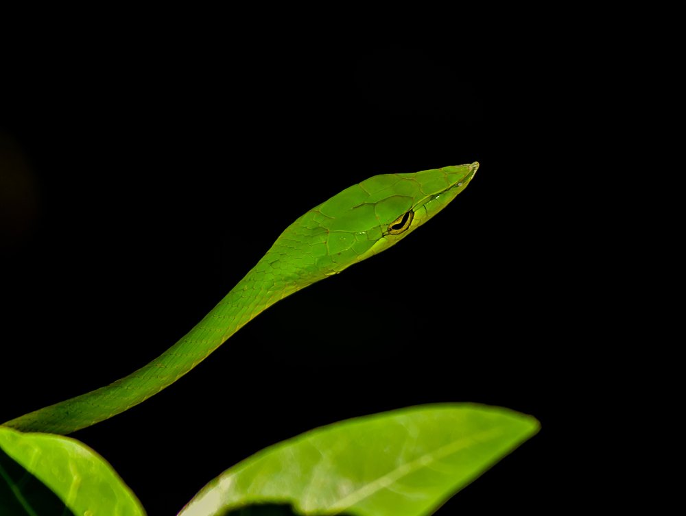 Photograph by Utkarsh Patil