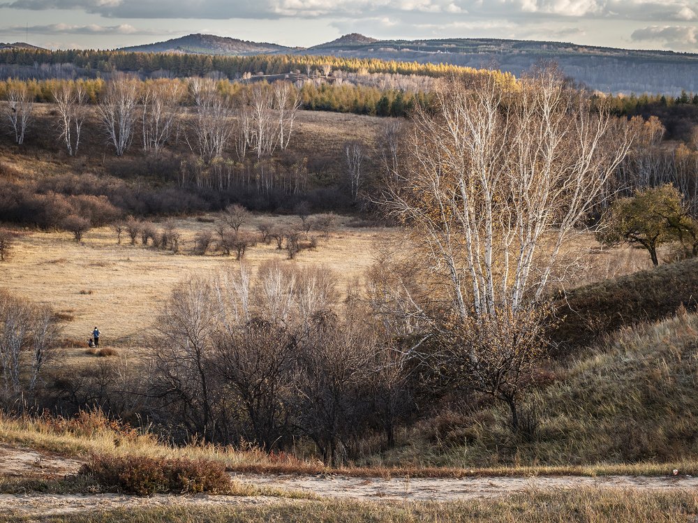 Lost in the autumn sunshine