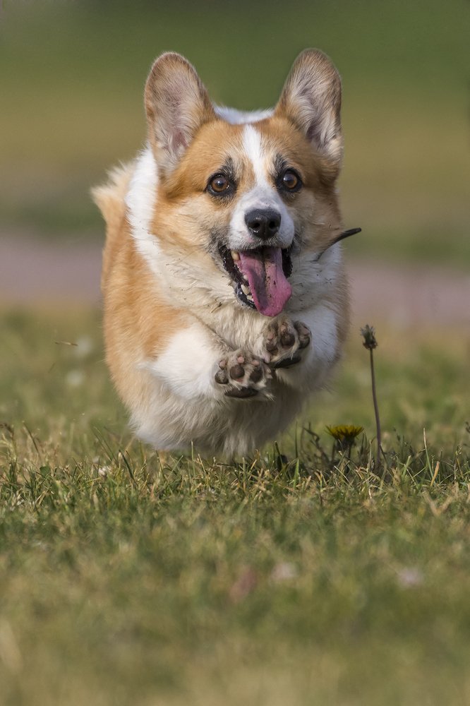 На бреющем полете.