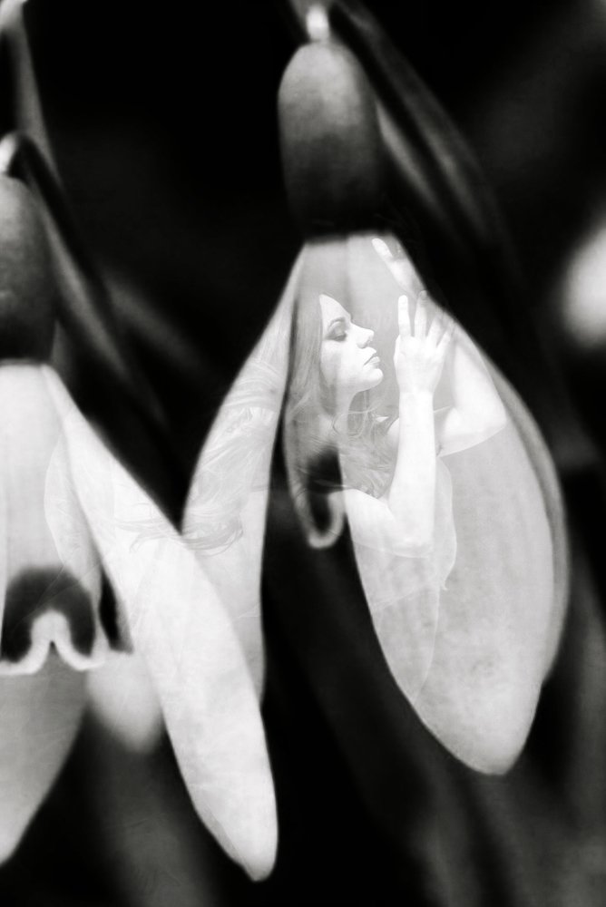 Photograph by Алина