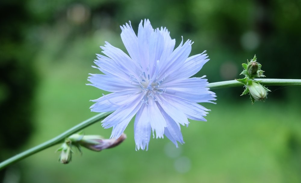 Photograph by Анна Панкратова