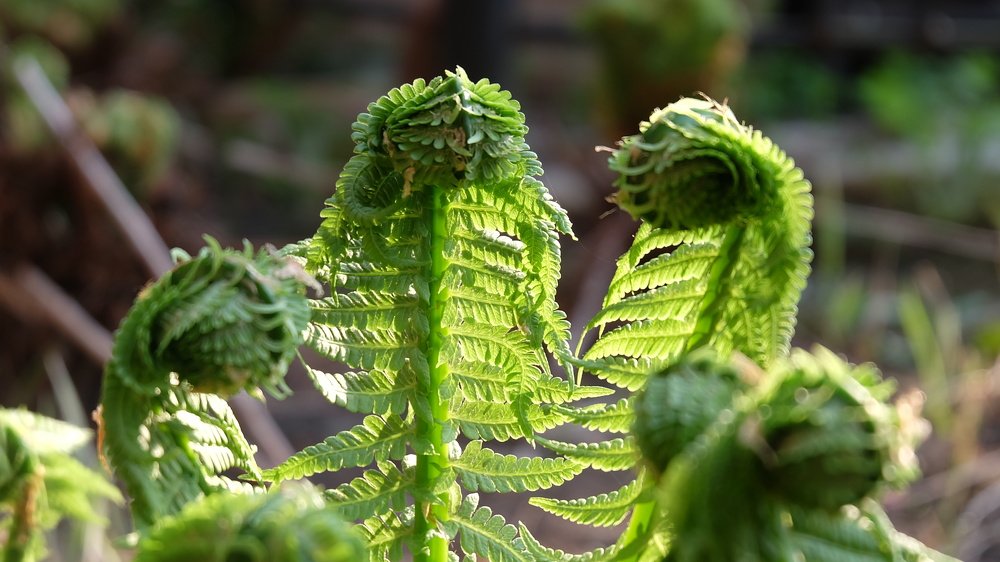 Photograph by Анна Панкратова