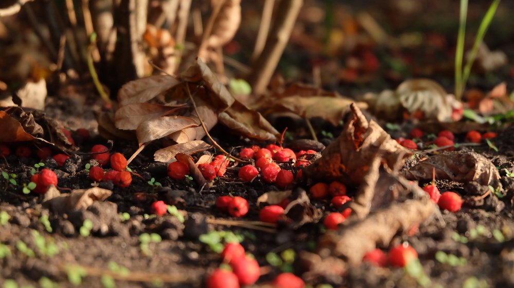 Photograph by Анна Панкратова