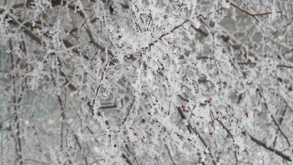 Photograph by Анна Панкратова