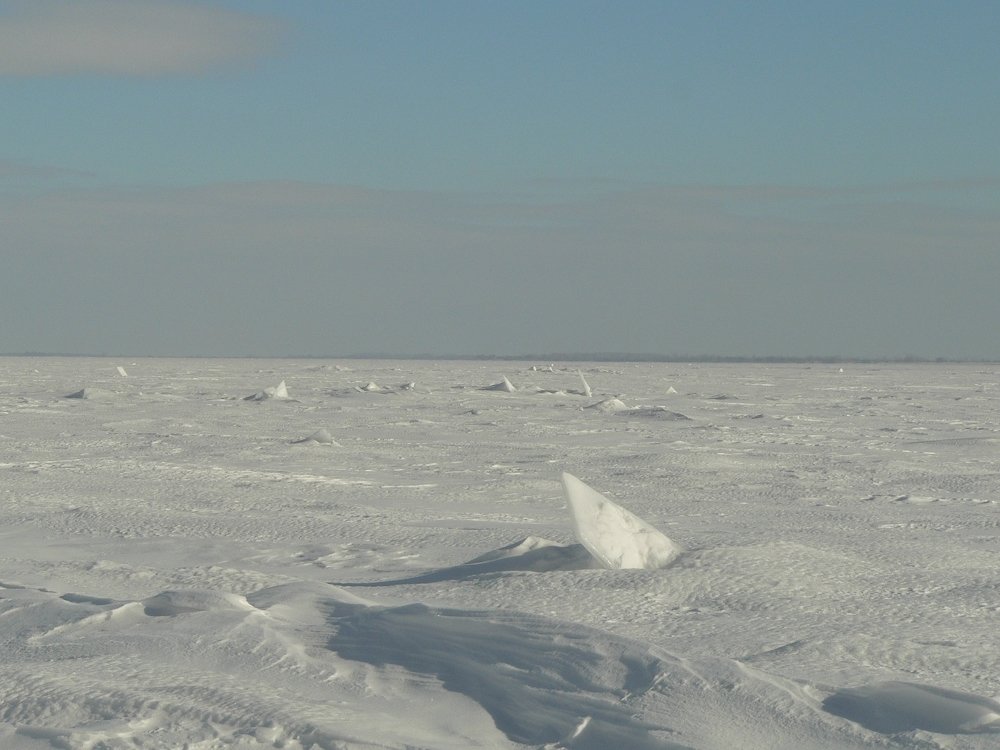 Фотография автора Henry Olcott
