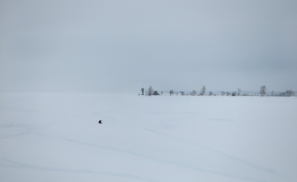 Фотография автора Henry Olcott