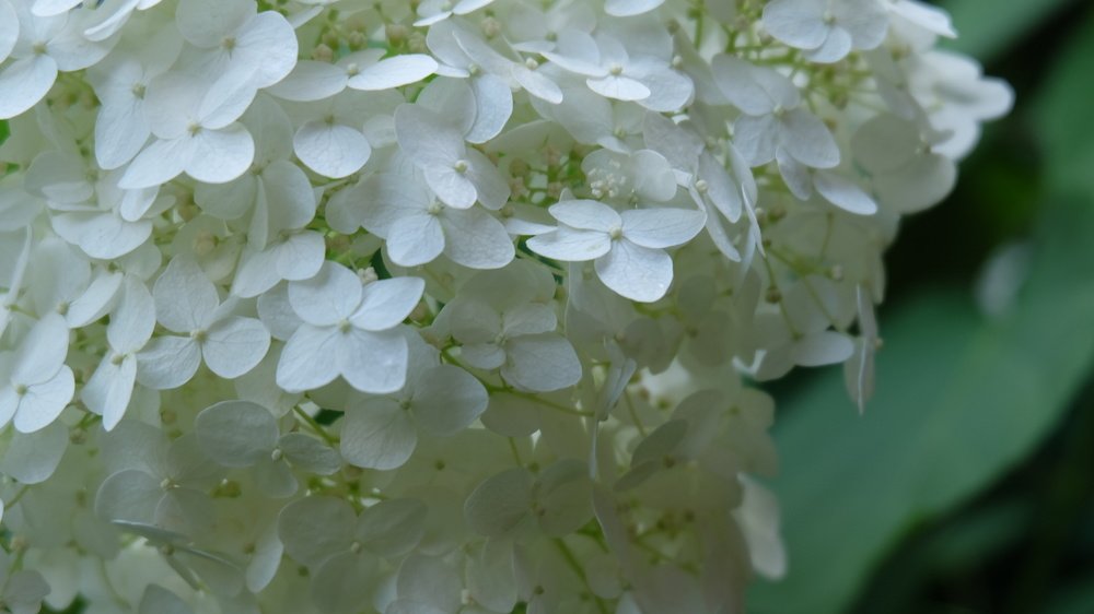 Photograph by Анна Панкратова