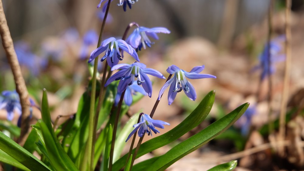 Photograph by Анна Панкратова