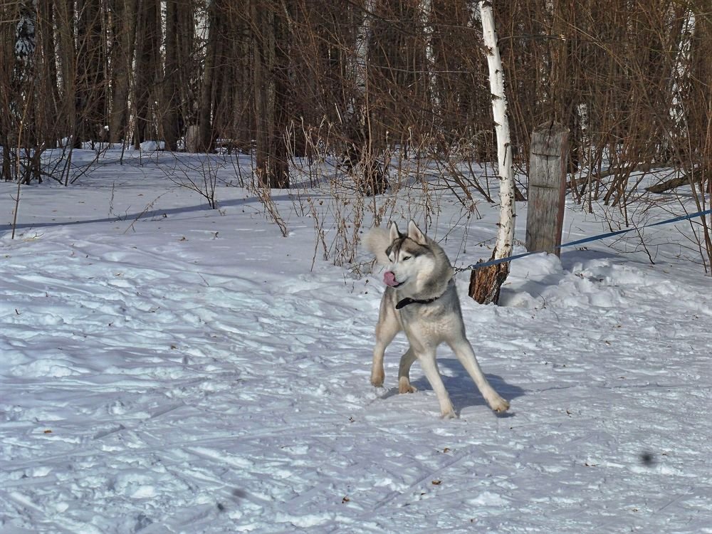 Photo #3663385