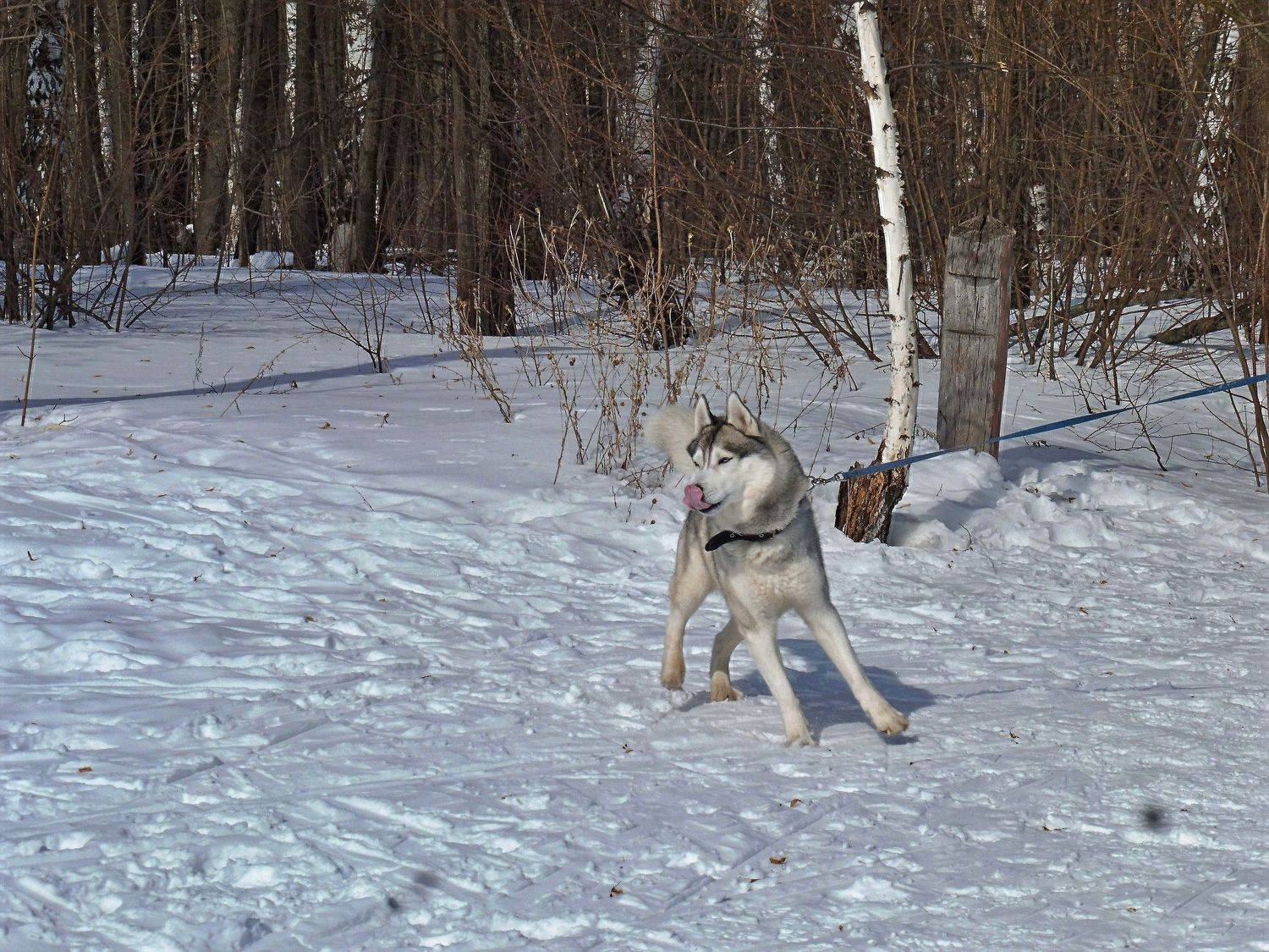 Photo #3663385