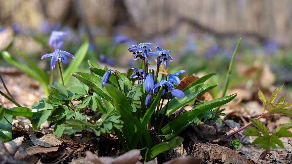 Photograph by Анна Панкратова