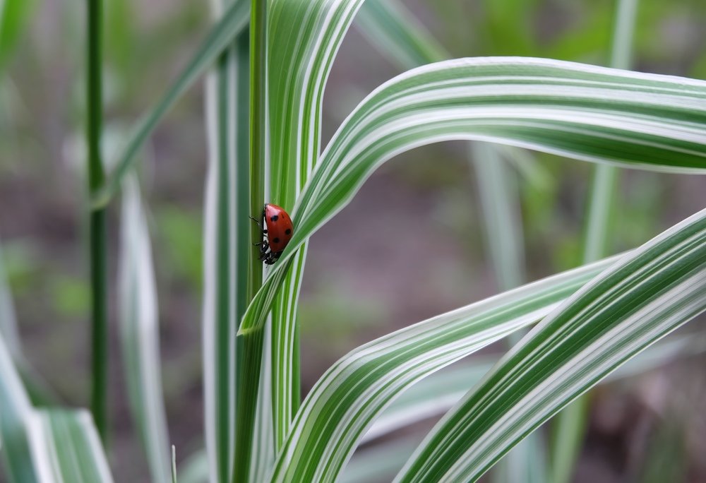 Photograph by Анна Панкратова