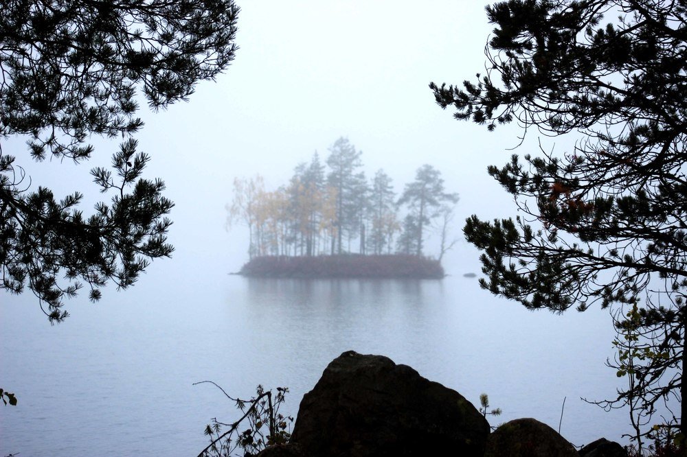 Островок в тумане