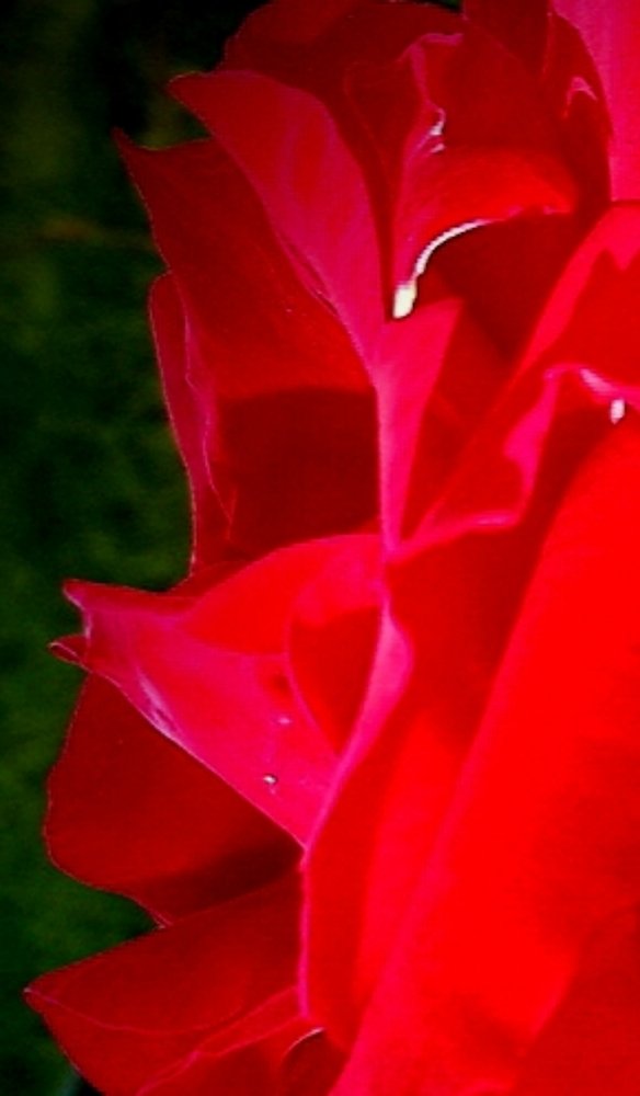 Photograph by Michelle Vaughn