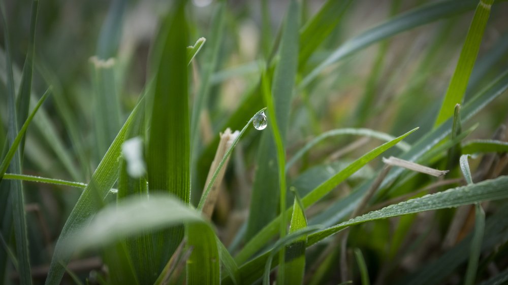 Photograph by Александр Варакин