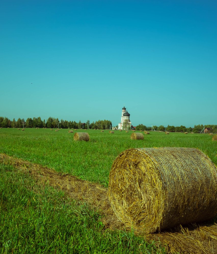 Photograph by Nikita Silyavin