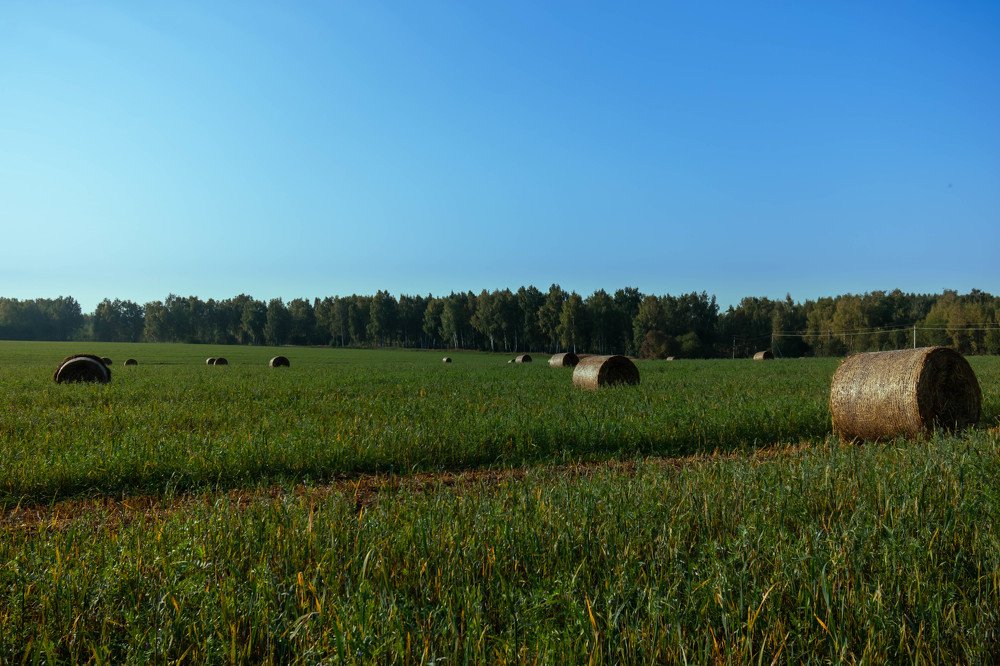 Photograph by Nikita Silyavin