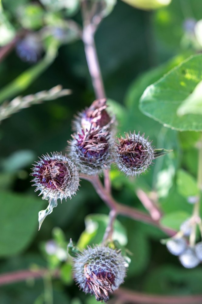 Photograph by Алла Кондратьева