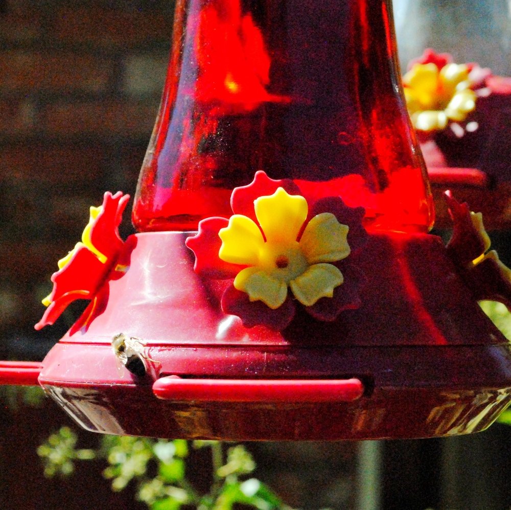 Photograph by Michelle Vaughn