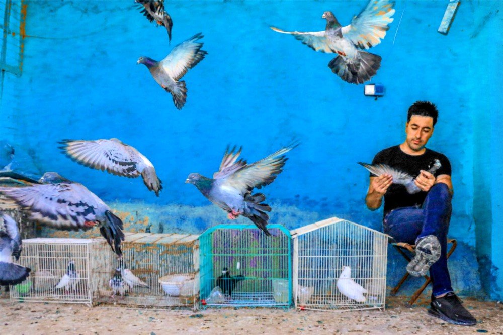 Фотография автора arabzadeh hossein