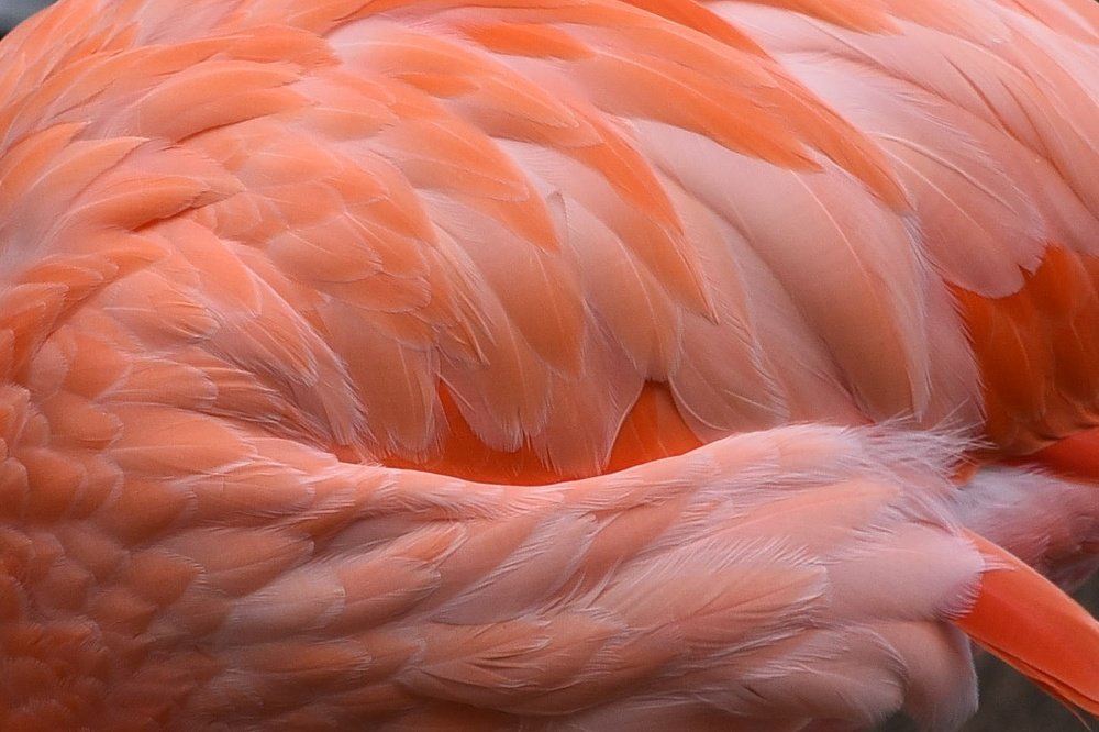 Photograph by Nikolai Savin