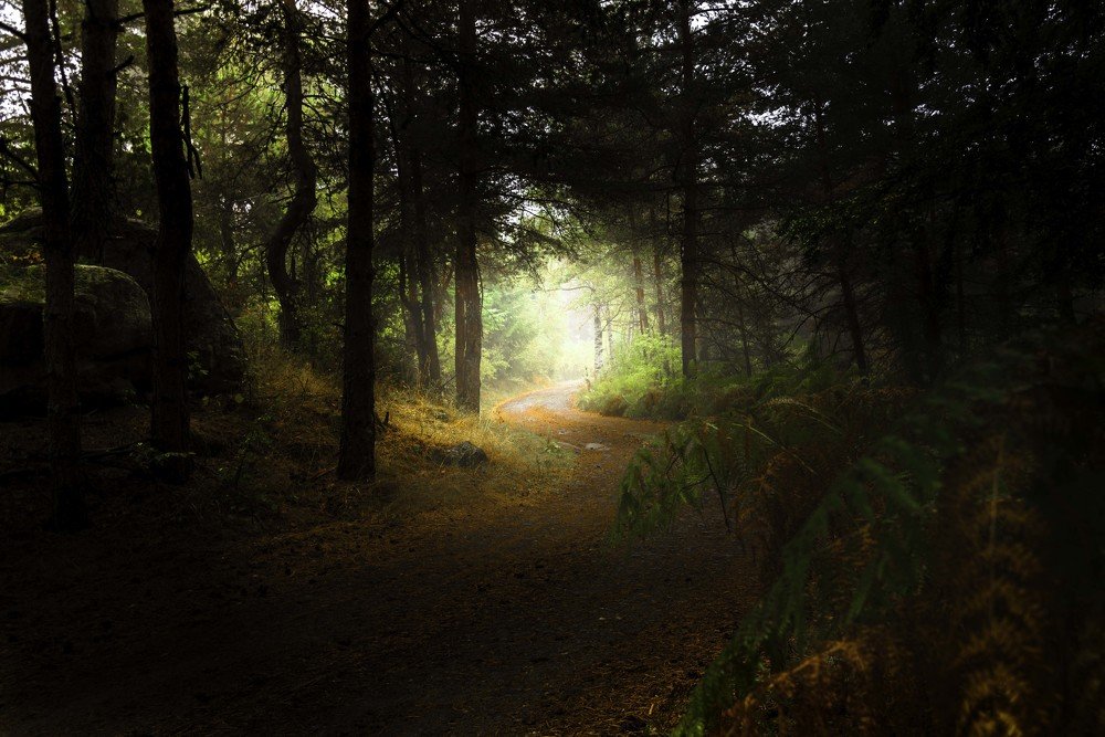 Photograph by Venelin Dimitrov