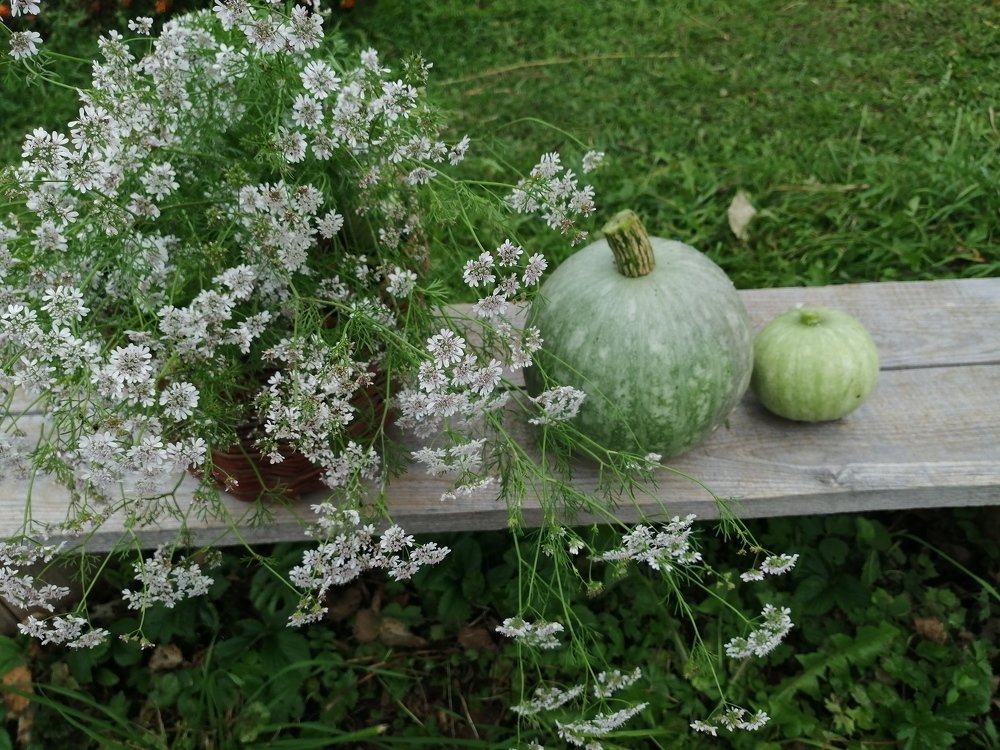Photograph by Екатерина Тарасова