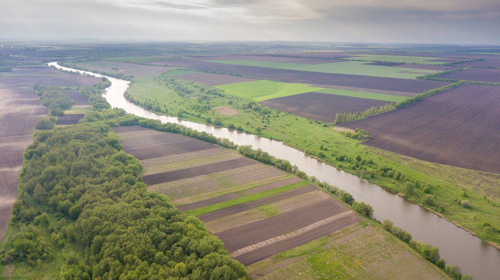 Green fields that the river shares.