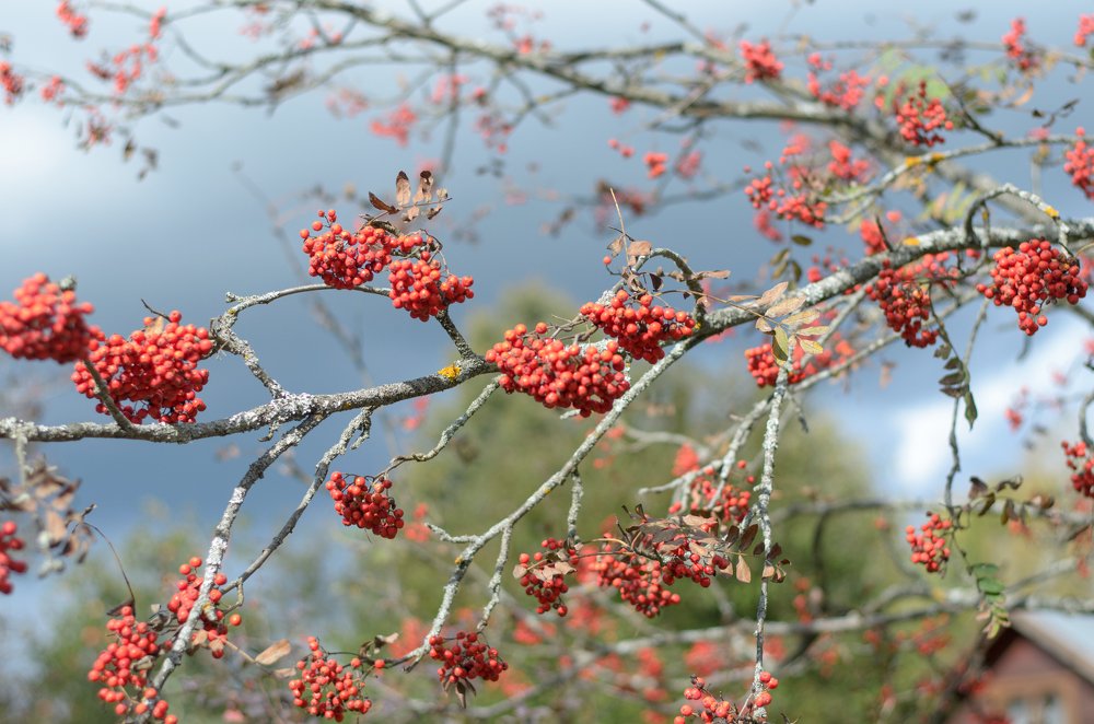 Photograph by Юлия Орлова