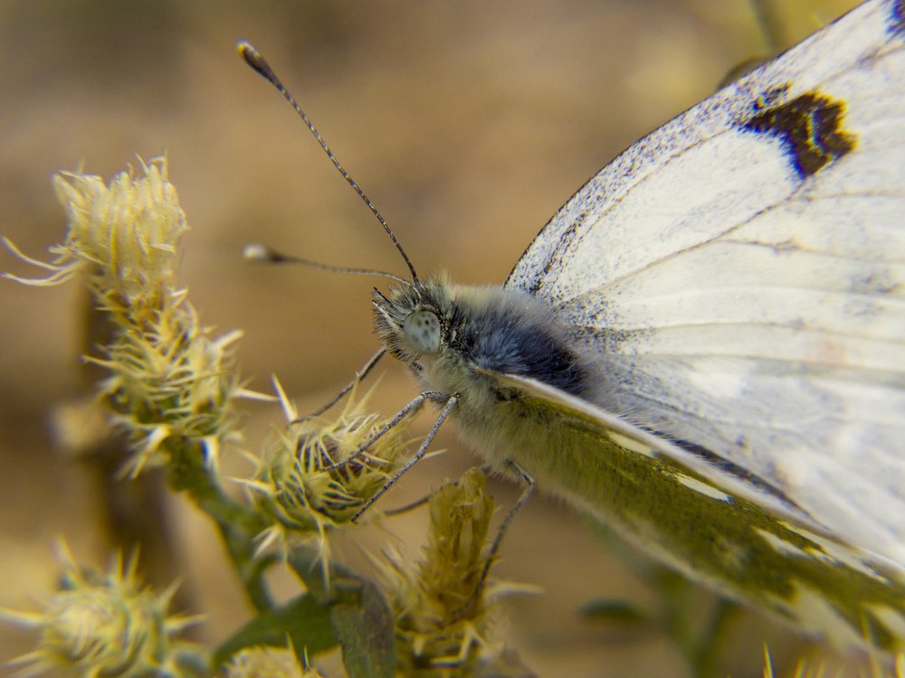 Photograph by Иван Доможирский