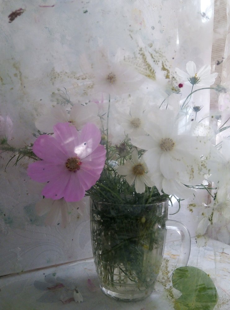 Photograph by Людмила Гончарова