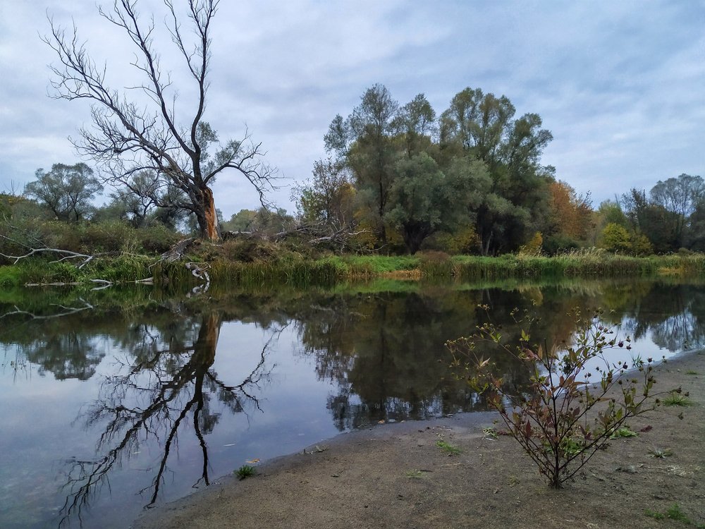 Хмурый вечер