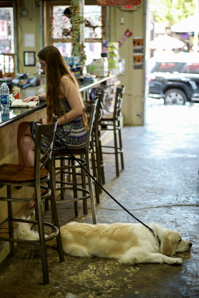 Canine Café