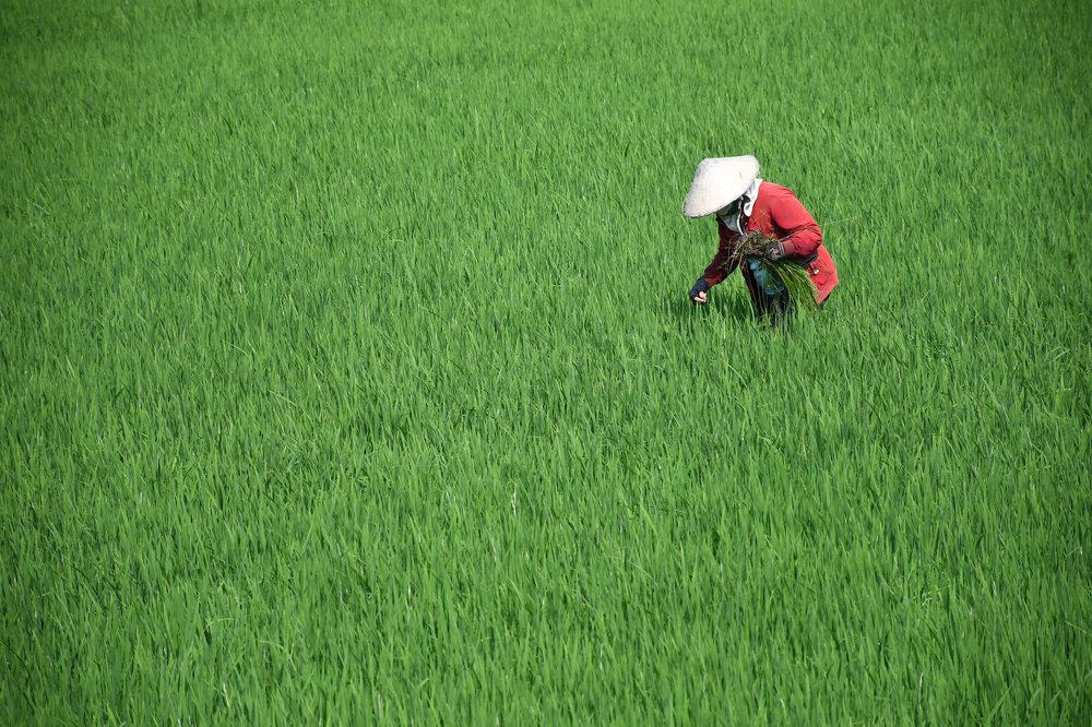 Photograph by Trương hoàng thanh
