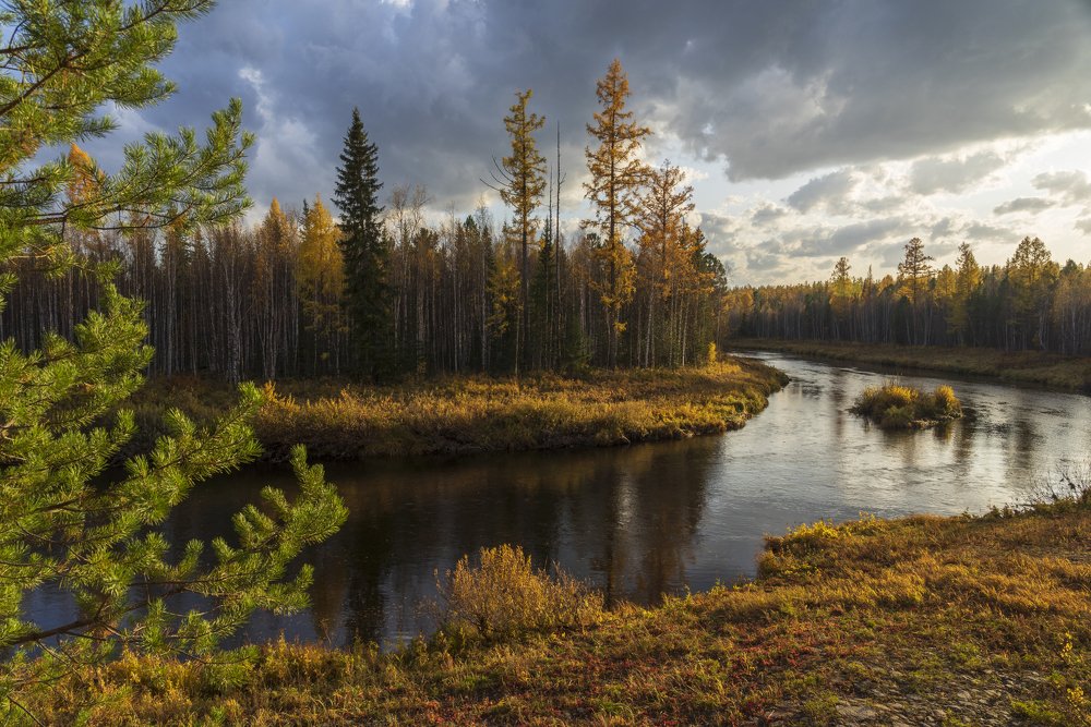 Таёжная река