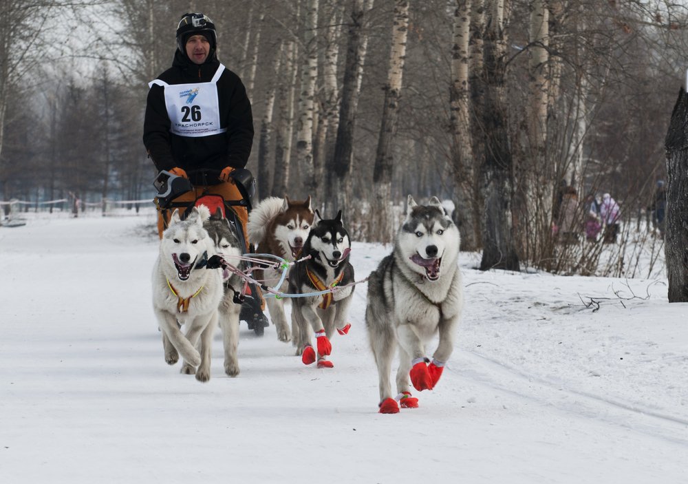 Воля к победе.
